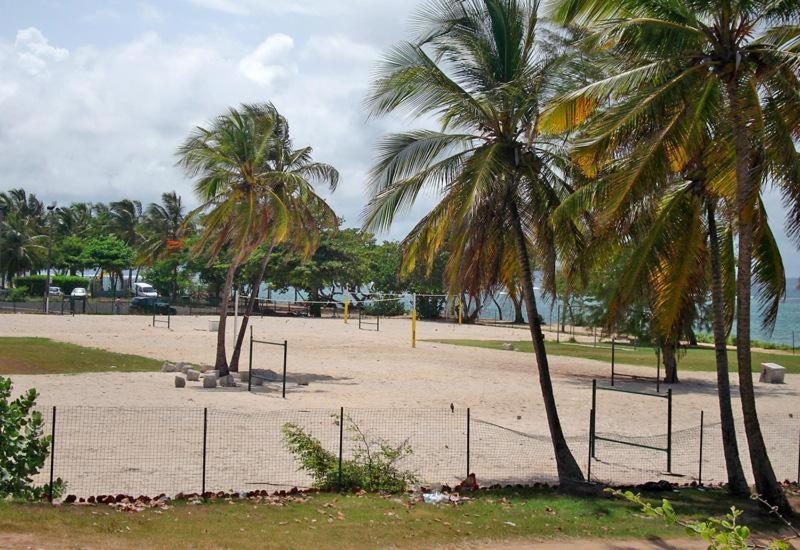Villa Le Bord Bleu Le Moule Ngoại thất bức ảnh